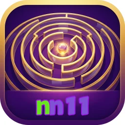 nn11